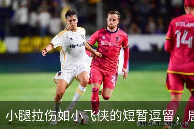 小腿拉伤如小飞侠的短暂逗留，唐特该何时归来？